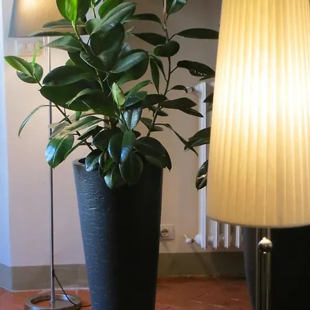 Toscanelli Residenza D'epoca 3* Florence